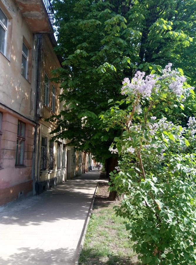 Apartment On Yaroslava Mudrogo 14